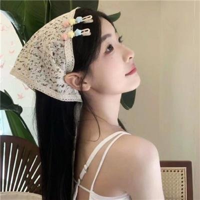 神探飞机头